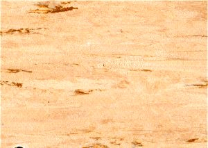 Antistatické PVC Disipative Line E04 - Již není v prodeji