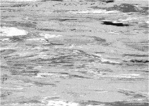 Antistatické PVC Disipative Line E06 - Již není v prodeji