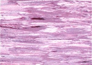 Antistatické PVC Disipative Line E07 - Již není v prodeji