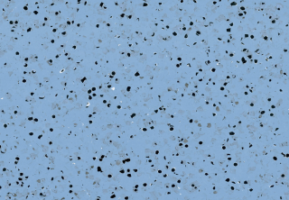  Vodivé ESD PVC MIPOLAM EL5 - Blue