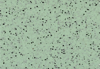  Vodivé ESD PVC MIPOLAM EL5 - Green