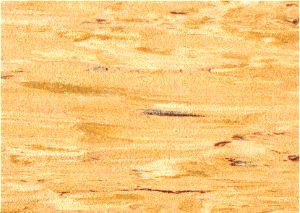 Antistatické PVC Disipative Line E11