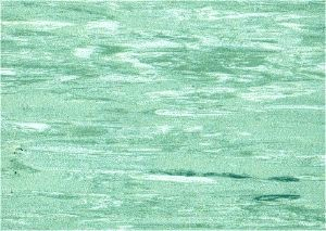 Antistatické PVC Disipative Line E13