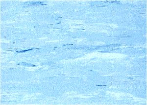 Antistatické PVC Disipative Line E16