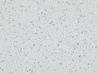 Dynamik X - 608x608 mm TL.1,7 mm 