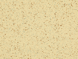 Dynamik X - 608x608 mm TL.1,7 mm 